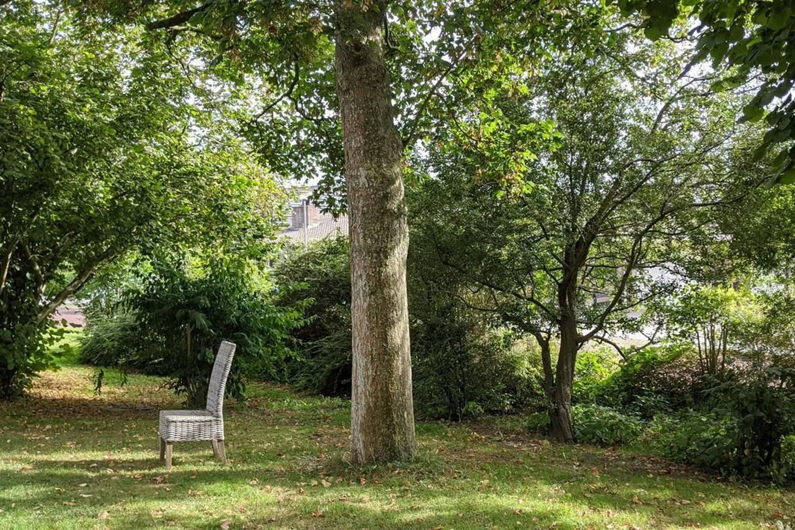 Kerk van Oterleek – de tuin onder de oude bomen