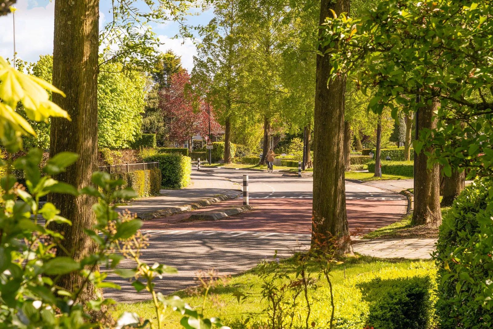 Pastorie Grintweg, Yerseke – de tuin met oude bomen